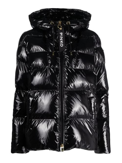 Shiny women's down jacket Pinko | 101597-A11K.Z99